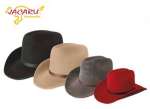 Chapeau RODEO JACARU
