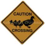 ROADSIGN AUSTRALIA - CAUTION DUCK