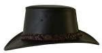 Bushranger